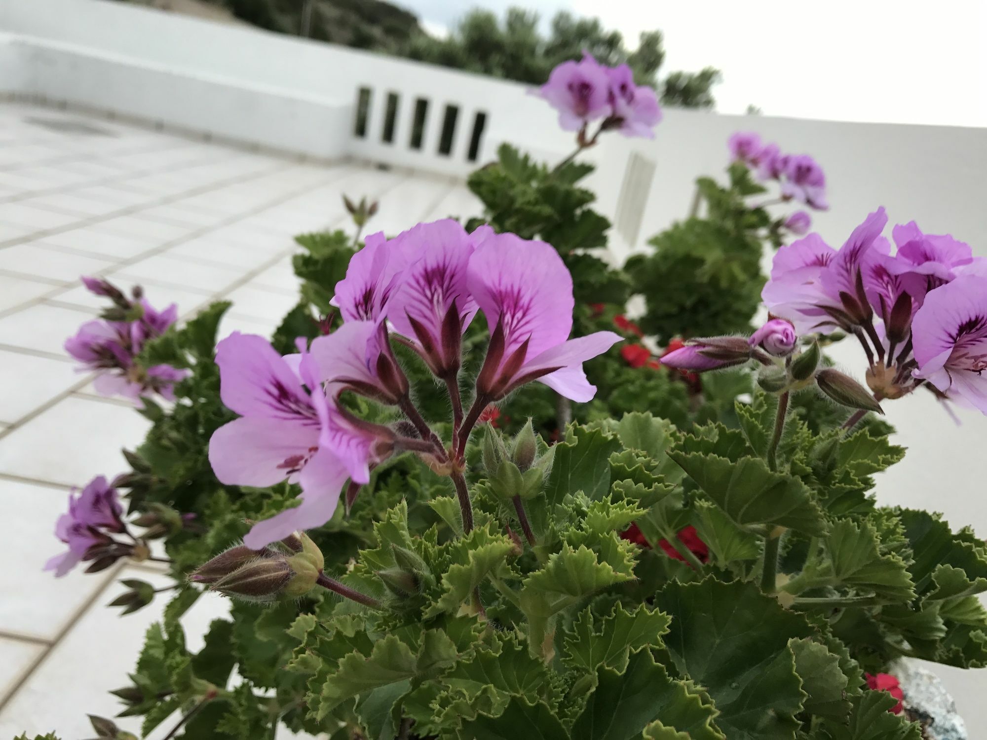 Nakou Village 코츠나리 외부 사진